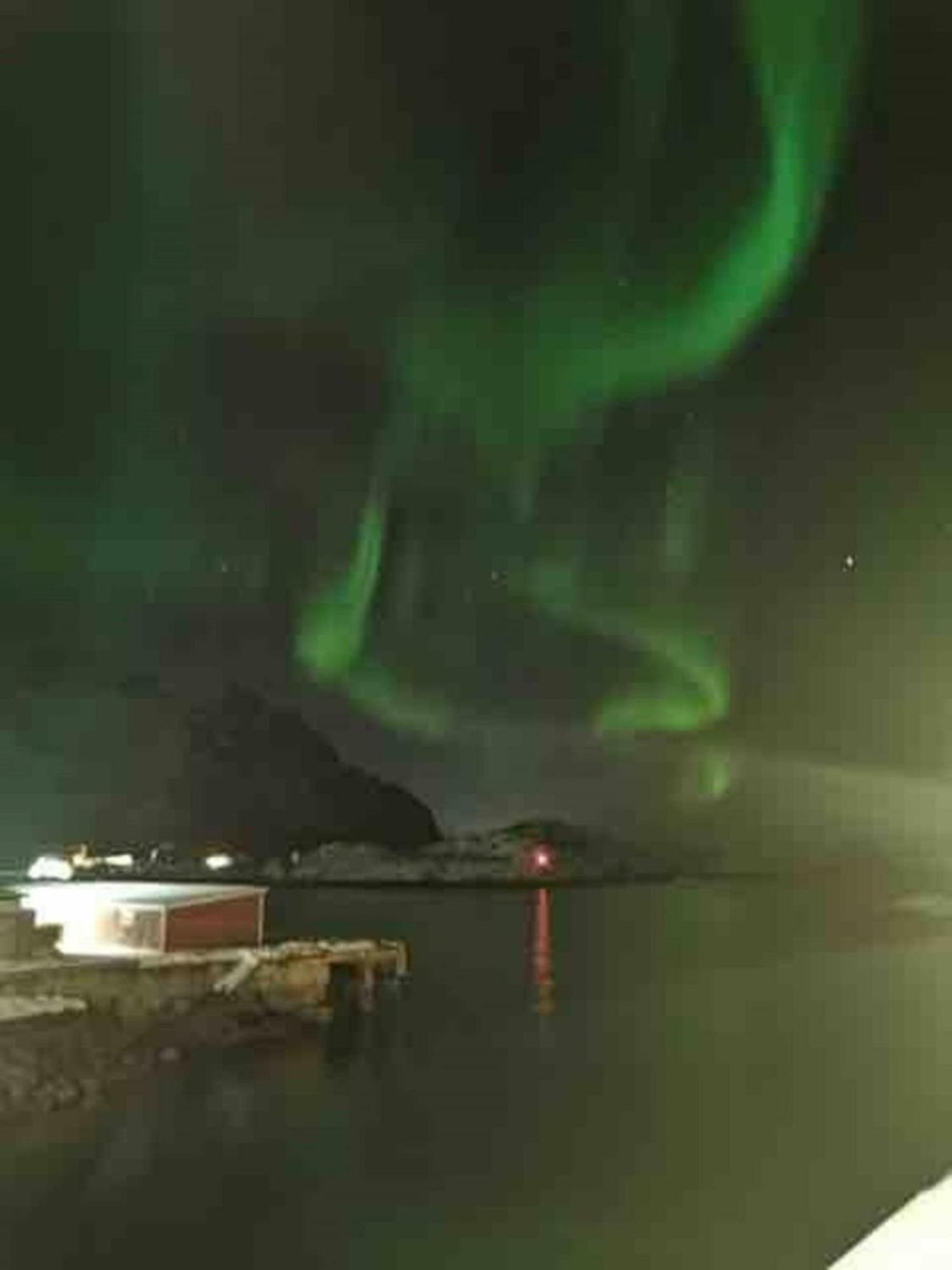 Ny Leilighet I Henningsvaer! Luaran gambar